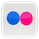 Flickr Icon